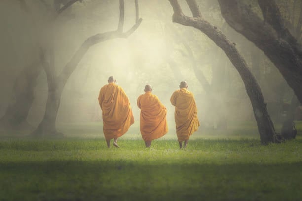 Người tu, một mình giữa rừng vắng vẫn vui 1