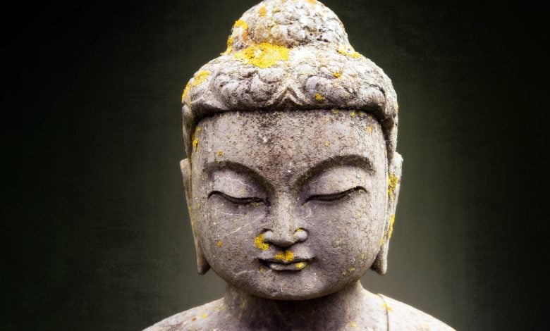 Sống lành để tâm từ hiển lộ 1