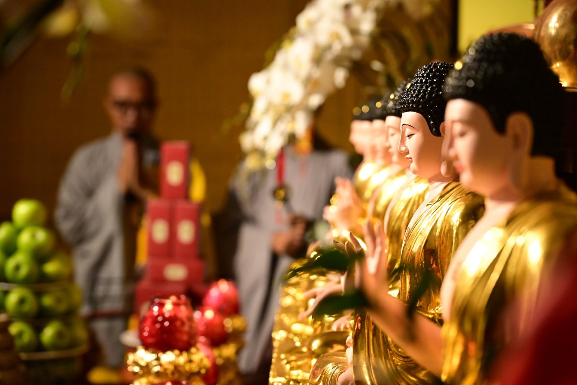 Đức Phật dạy: Không cần sống quá xuất sắc, chỉ cần sống trong chánh niệm  1