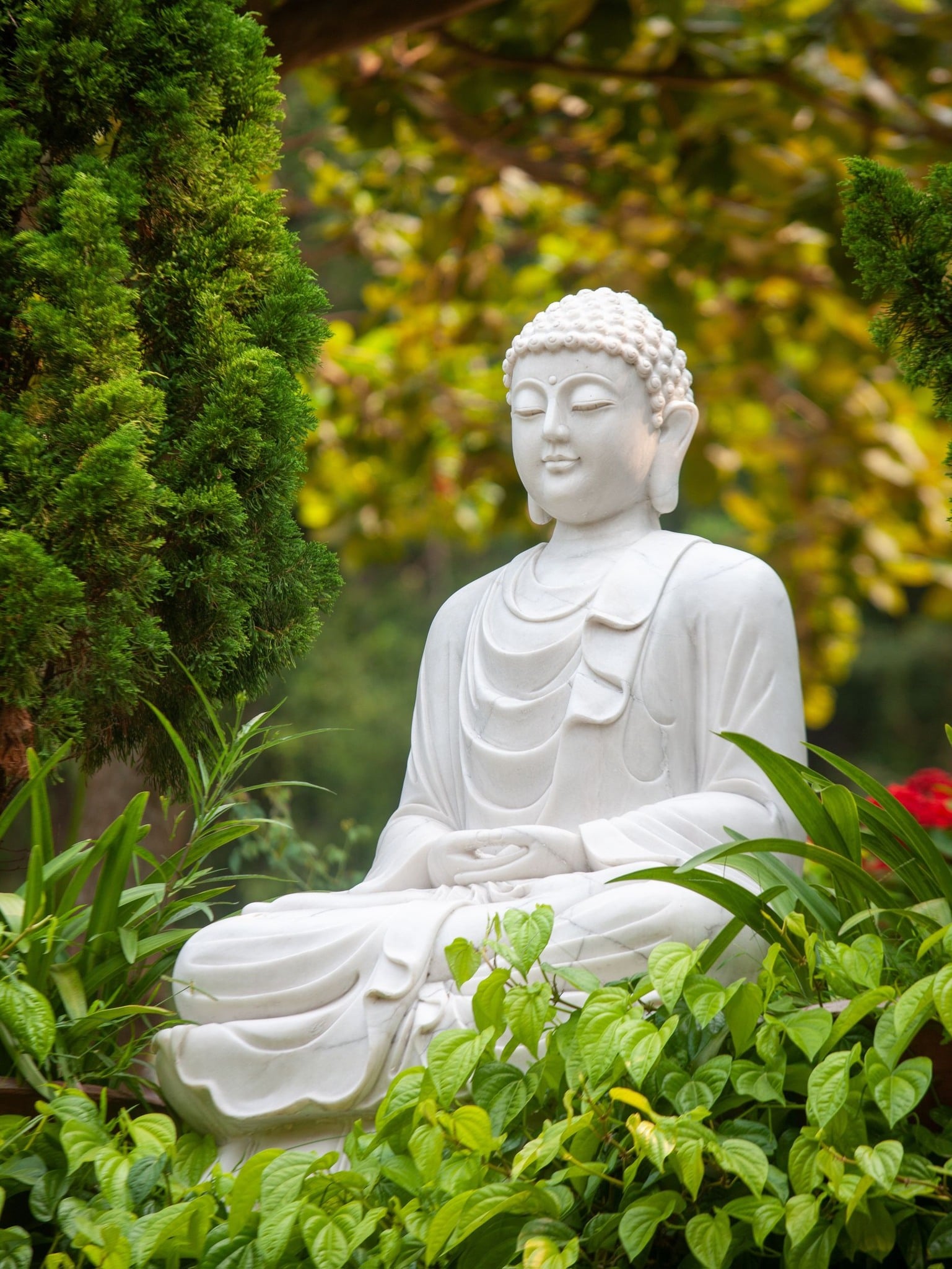 Chánh nghiệp là gì? 1