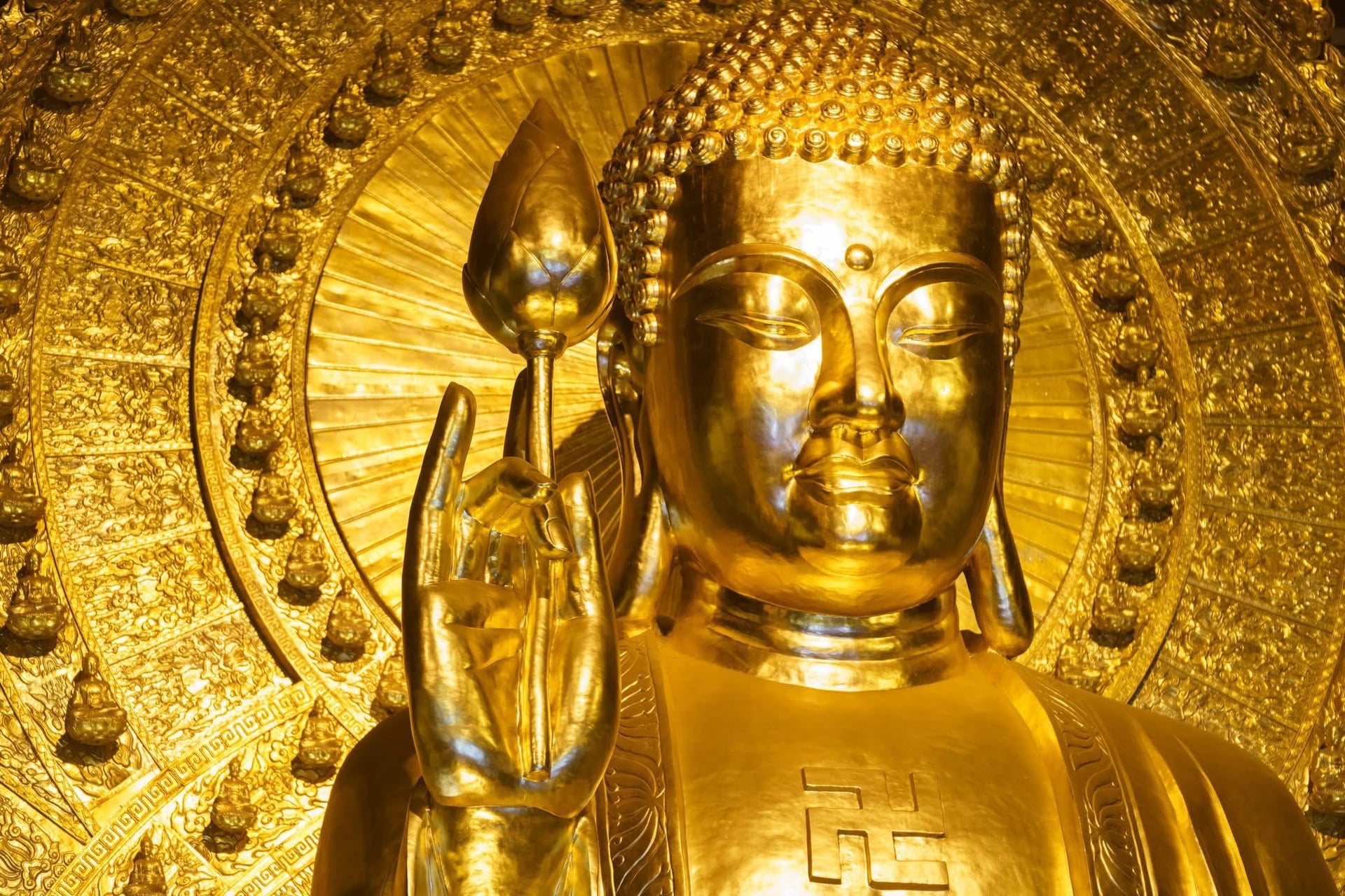 Lời Phật dạy: Đừng so sánh, hãy gieo nhân lành  1