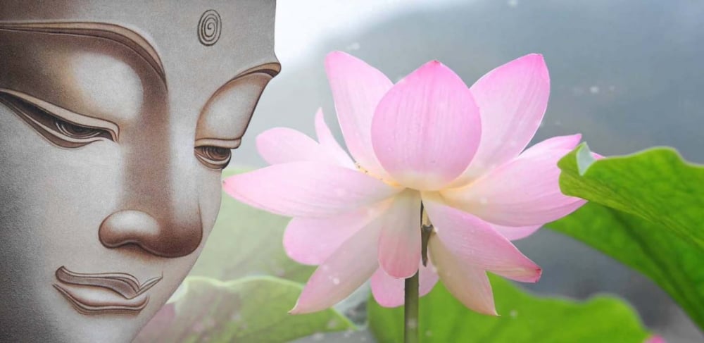 Ánh sáng Chánh Pháp và con đường nở hoa 1
