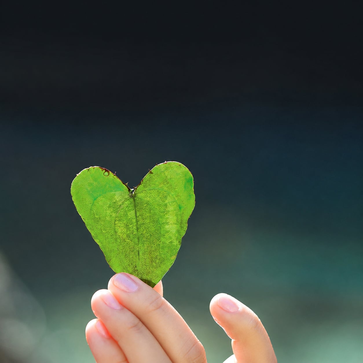 Mọi thứ đều đến rồi đi 1